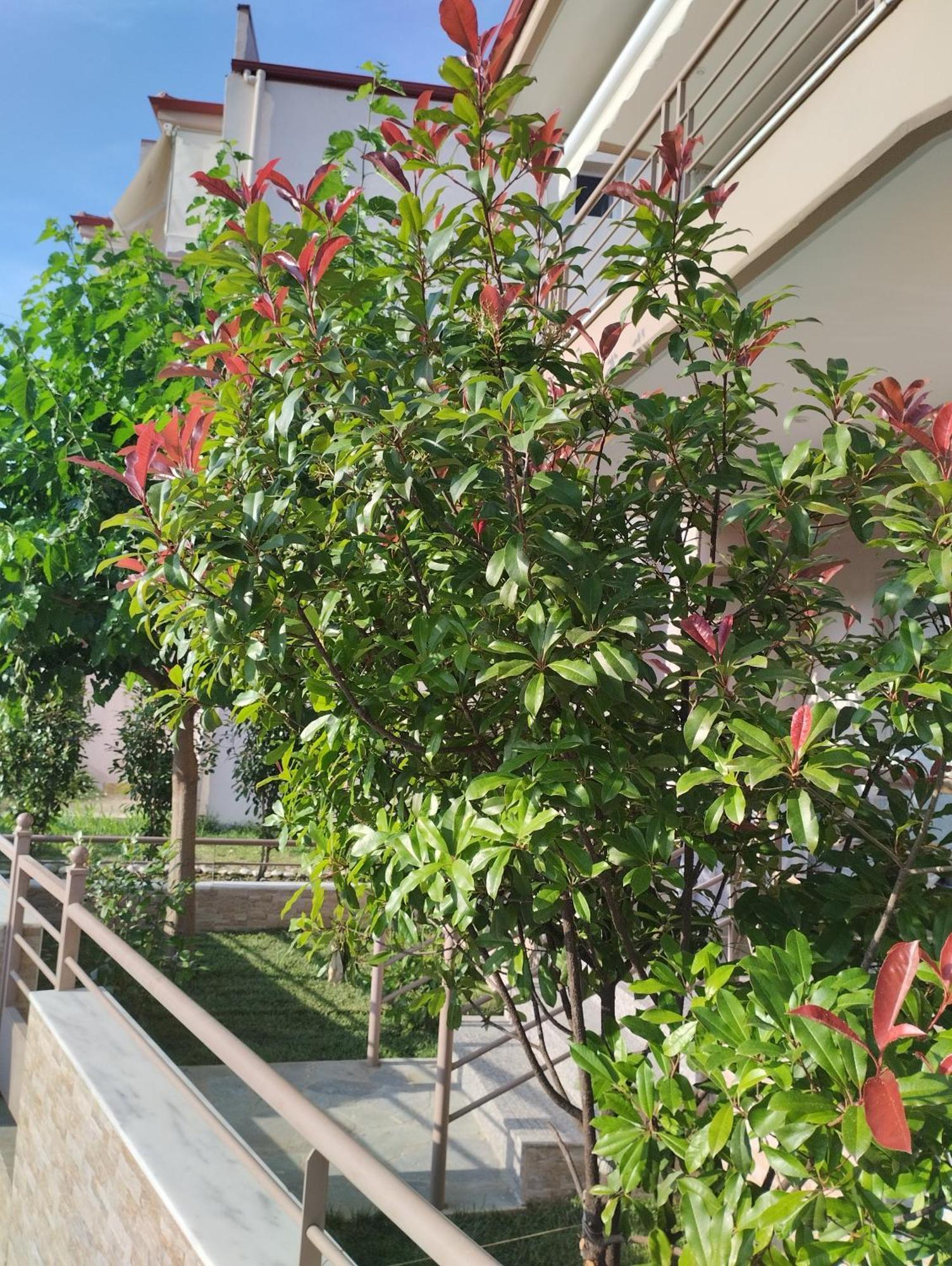 Avellana Luxury Suites Leptokarya  Exterior foto